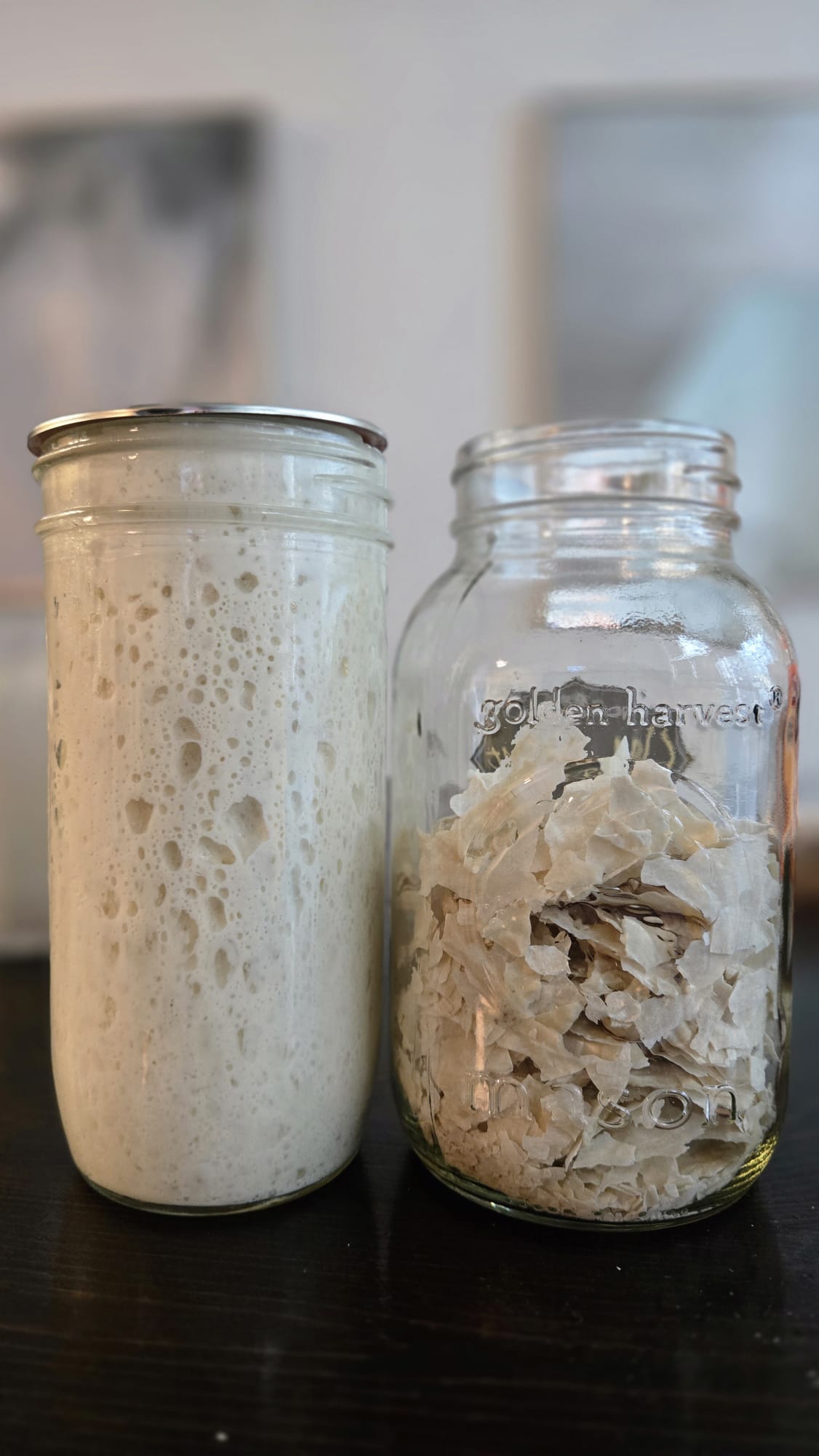 Dehydrated Kawartha Sourdough Starter