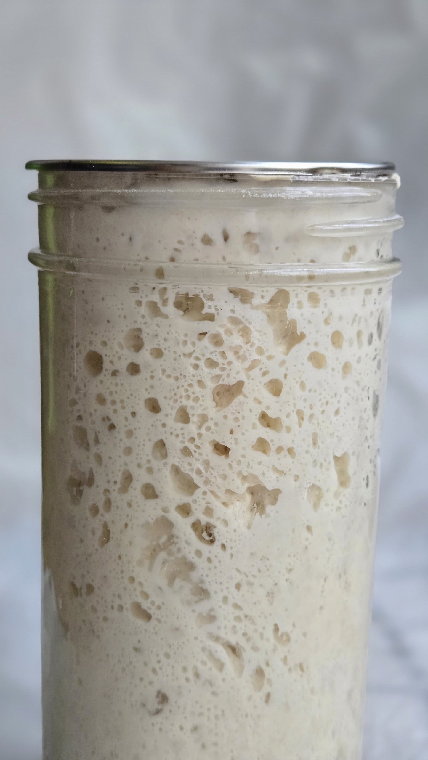 Dehydrated Kawartha Sourdough Starter