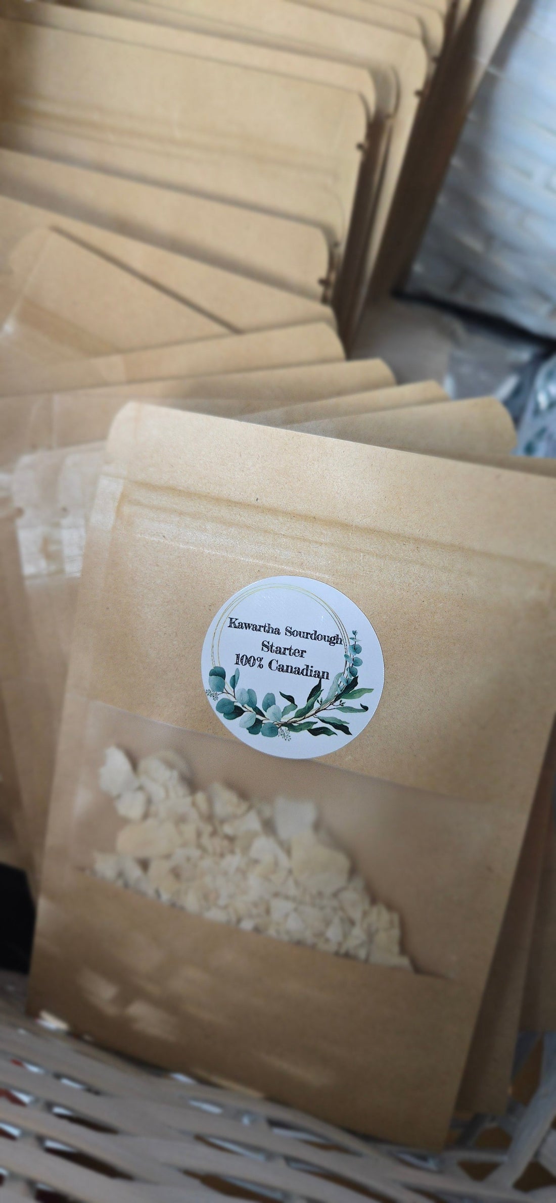 How To Activate Dehydrated Kawartha Sourdough Starter