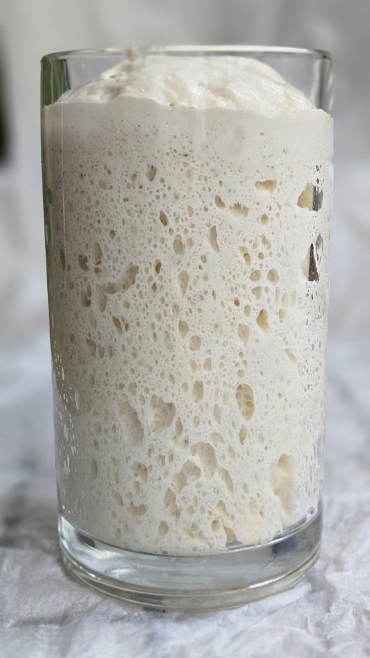 How to maintain your sourdough starter