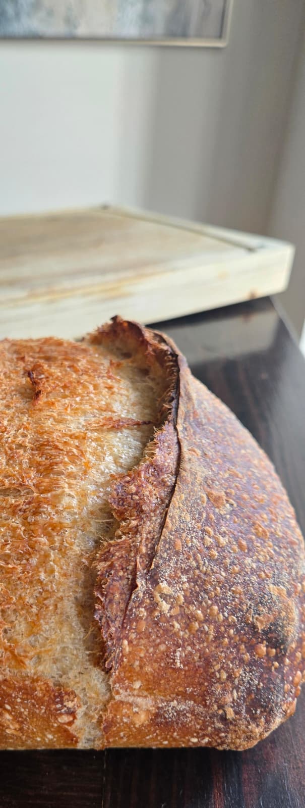 Introduction to Whole Wheat